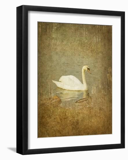 Bubblexs-Lynne Davies-Framed Photographic Print