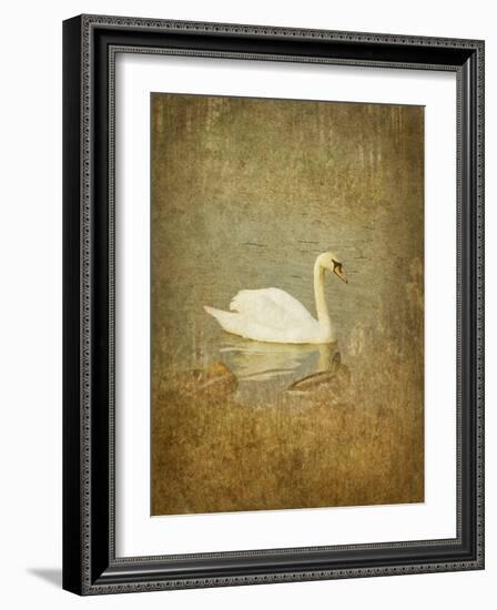 Bubblexs-Lynne Davies-Framed Photographic Print