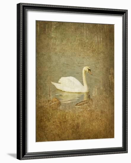 Bubblexs-Lynne Davies-Framed Photographic Print