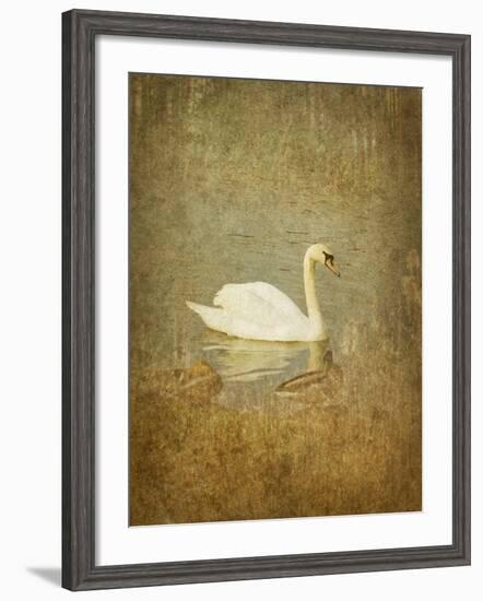 Bubblexs-Lynne Davies-Framed Photographic Print