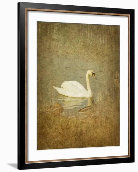 Bubblexs-Lynne Davies-Framed Photographic Print