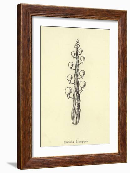 Bubblia Blowpipia-Edward Lear-Framed Giclee Print