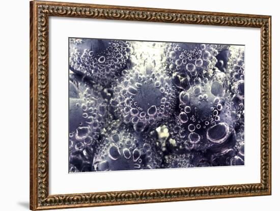 Bubbling Blueberries-Carrie Webster-Framed Photographic Print