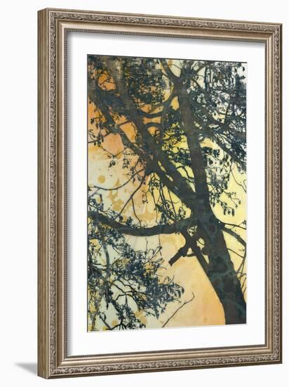 Bubbly Branches-James McMasters-Framed Art Print