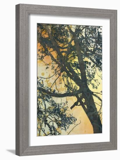 Bubbly Branches-James McMasters-Framed Art Print