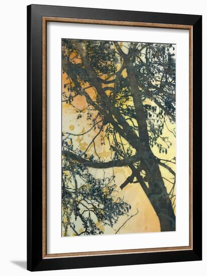 Bubbly Branches-James McMasters-Framed Art Print