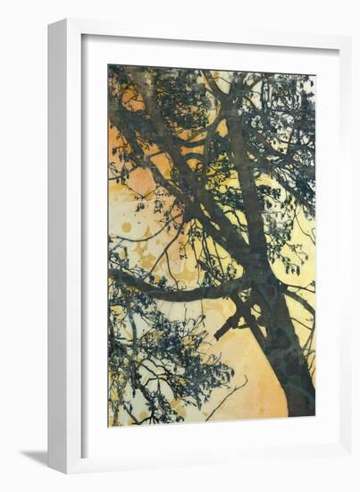 Bubbly Branches-James McMasters-Framed Art Print