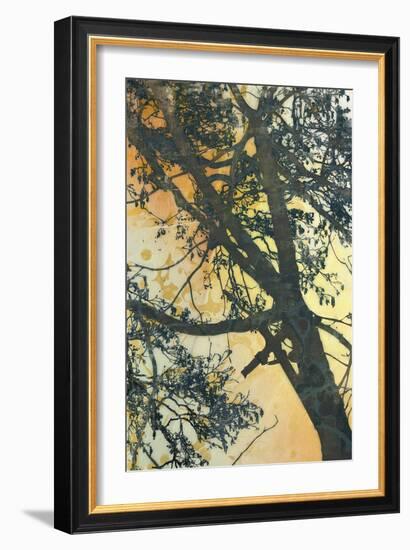 Bubbly Branches-James McMasters-Framed Art Print