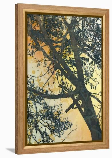 Bubbly Branches-James McMasters-Framed Stretched Canvas