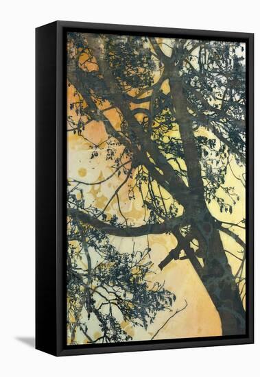 Bubbly Branches-James McMasters-Framed Stretched Canvas
