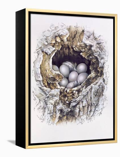 Bubo Bubo (Barn Owl), 2001-Sandra Lawrence-Framed Premier Image Canvas
