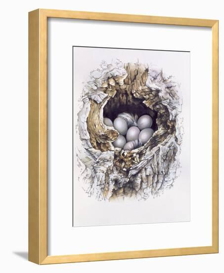 Bubo Bubo (Barn Owl), 2001-Sandra Lawrence-Framed Giclee Print