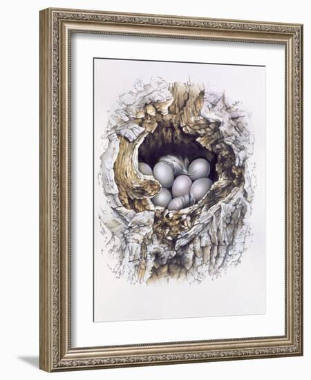 Bubo Bubo (Barn Owl), 2001-Sandra Lawrence-Framed Giclee Print