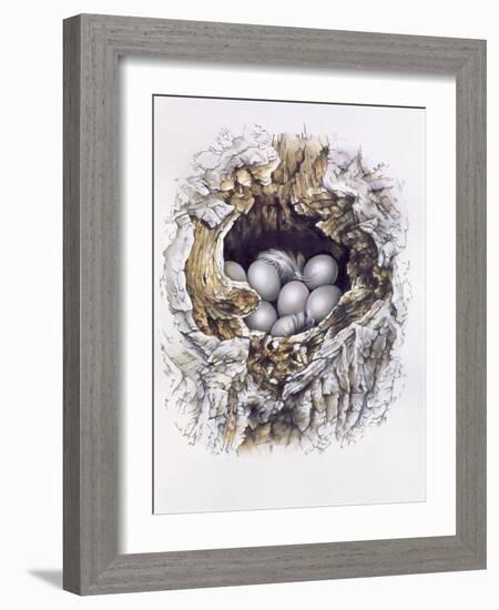 Bubo Bubo (Barn Owl), 2001-Sandra Lawrence-Framed Giclee Print