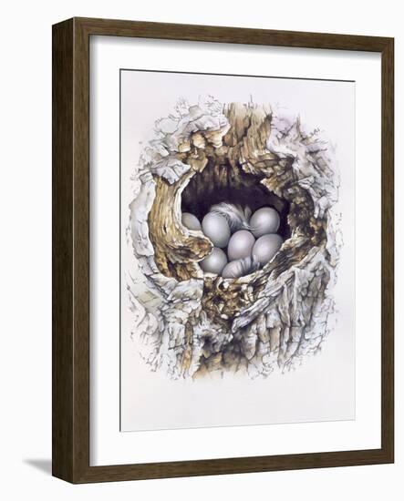 Bubo Bubo (Barn Owl), 2001-Sandra Lawrence-Framed Giclee Print