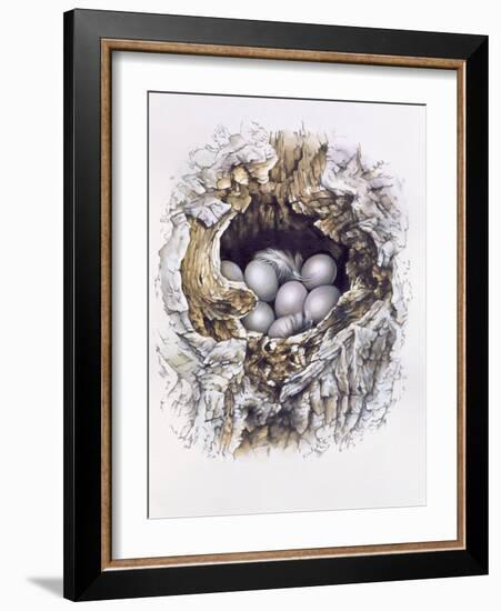 Bubo Bubo (Barn Owl), 2001-Sandra Lawrence-Framed Giclee Print