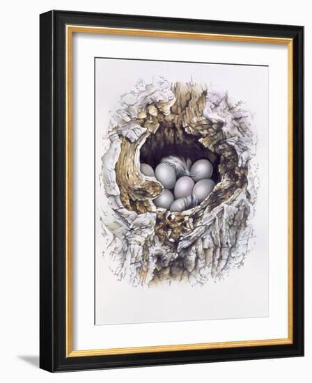 Bubo Bubo (Barn Owl), 2001-Sandra Lawrence-Framed Giclee Print