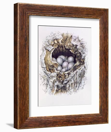 Bubo Bubo (Barn Owl), 2001-Sandra Lawrence-Framed Giclee Print