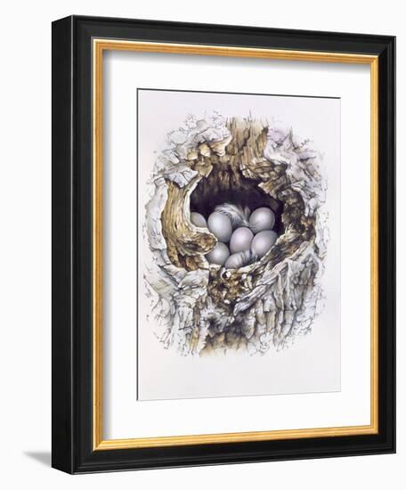 Bubo Bubo (Barn Owl), 2001-Sandra Lawrence-Framed Giclee Print