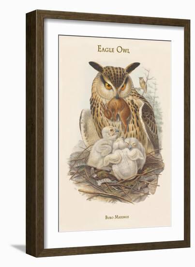 Bubo Maximus - Eagle Owl-John Gould-Framed Art Print