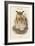 Bubo Maximus - Eagle Owl-John Gould-Framed Art Print