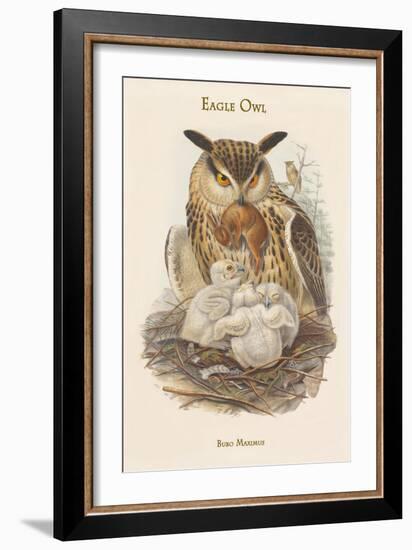 Bubo Maximus - Eagle Owl-John Gould-Framed Art Print