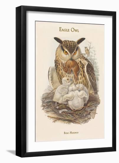 Bubo Maximus - Eagle Owl-John Gould-Framed Art Print