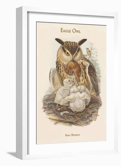 Bubo Maximus - Eagle Owl-John Gould-Framed Art Print