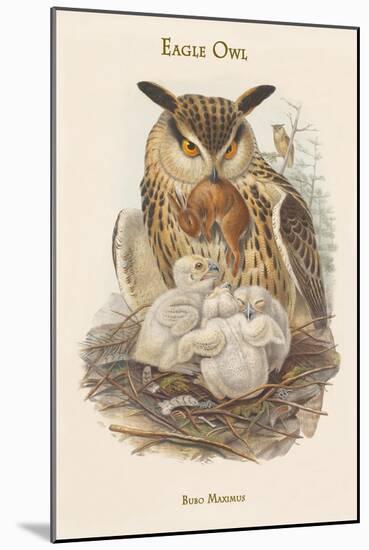 Bubo Maximus - Eagle Owl-John Gould-Mounted Art Print