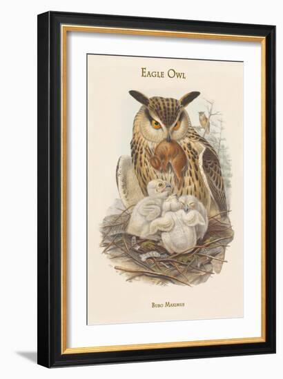 Bubo Maximus - Eagle Owl-John Gould-Framed Art Print