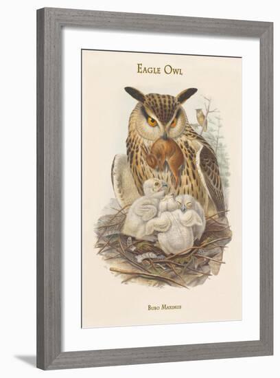 Bubo Maximus - Eagle Owl-John Gould-Framed Art Print