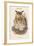 Bubo Maximus - Eagle Owl-John Gould-Framed Art Print