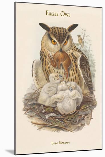 Bubo Maximus - Eagle Owl-John Gould-Mounted Art Print