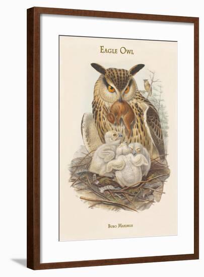 Bubo Maximus - Eagle Owl-John Gould-Framed Art Print