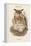 Bubo Maximus - Eagle Owl-John Gould-Framed Stretched Canvas