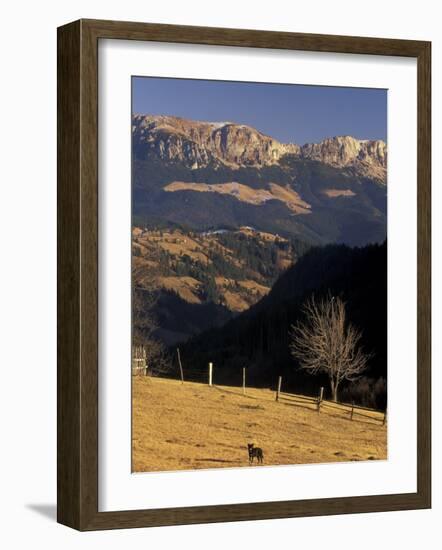 Buchegi Ut, Bran Region, Romania-Gavriel Jecan-Framed Photographic Print