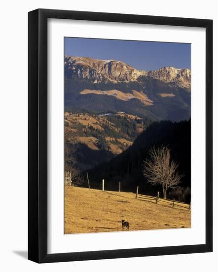 Buchegi Ut, Bran Region, Romania-Gavriel Jecan-Framed Photographic Print