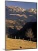 Buchegi Ut, Bran Region, Romania-Gavriel Jecan-Mounted Photographic Print