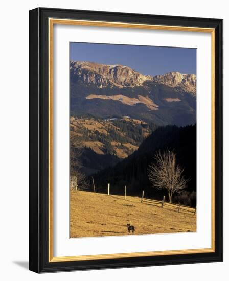 Buchegi Ut, Bran Region, Romania-Gavriel Jecan-Framed Photographic Print