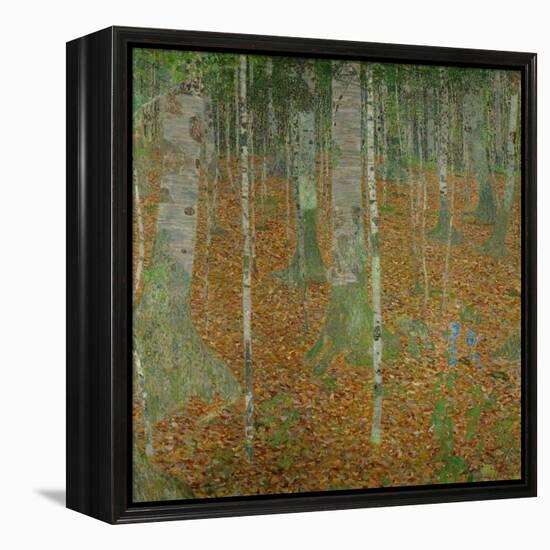 Buchenwald (Beech trees). Oil on canvas (1903).-Gustav Klimt-Framed Premier Image Canvas