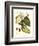 Buchoz Leaves III-Vision Studio-Framed Art Print