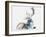 Buck and Bird, 2006-Mark Adlington-Framed Giclee Print