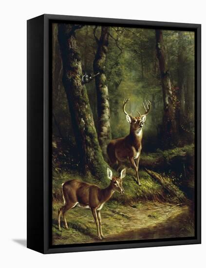 Buck and Doe in the Adirondacks-Arthur Fitzwilliam Tait-Framed Premier Image Canvas