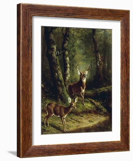 Buck and Doe in the Adirondacks-Arthur Fitzwilliam Tait-Framed Giclee Print