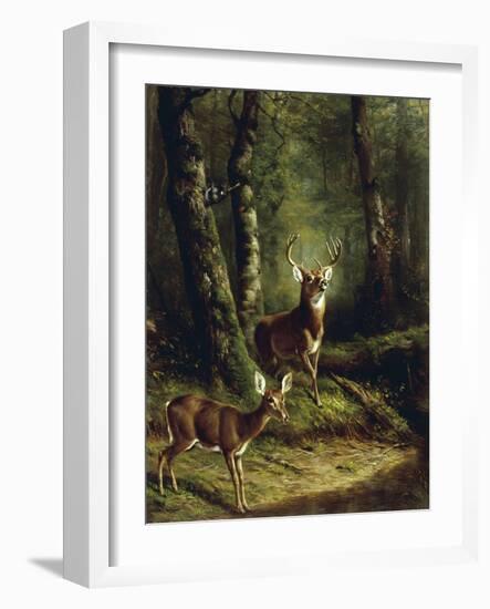 Buck and Doe in the Adirondacks-Arthur Fitzwilliam Tait-Framed Giclee Print