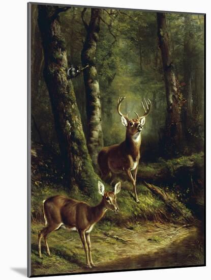 Buck and Doe in the Adirondacks-Arthur Fitzwilliam Tait-Mounted Giclee Print