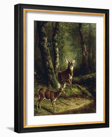 Buck and Doe in the Adirondacks-Arthur Fitzwilliam Tait-Framed Giclee Print