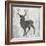 Buck Hunt Gray-Sheldon Lewis-Framed Art Print