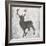 Buck Hunt Gray-Sheldon Lewis-Framed Art Print