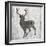 Buck Hunt Gray-Sheldon Lewis-Framed Art Print